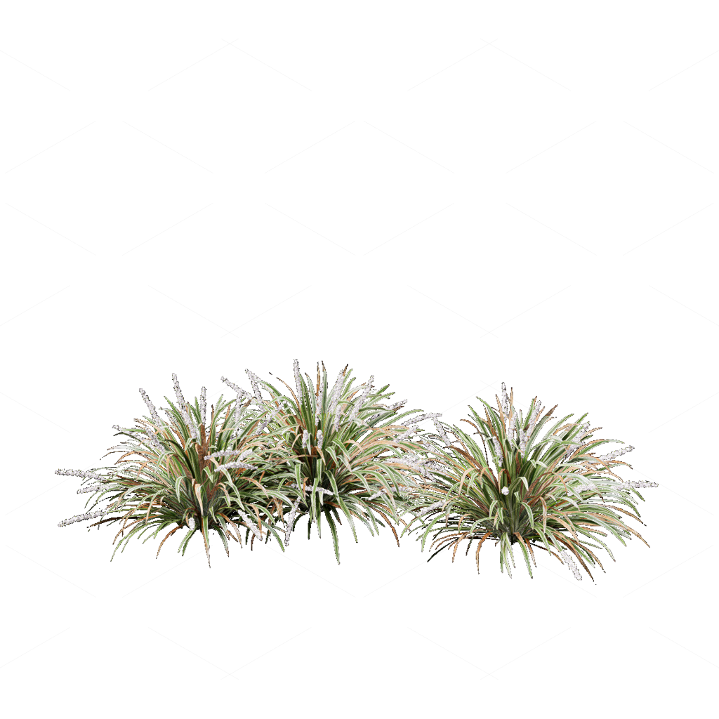 Flowers 3D Models