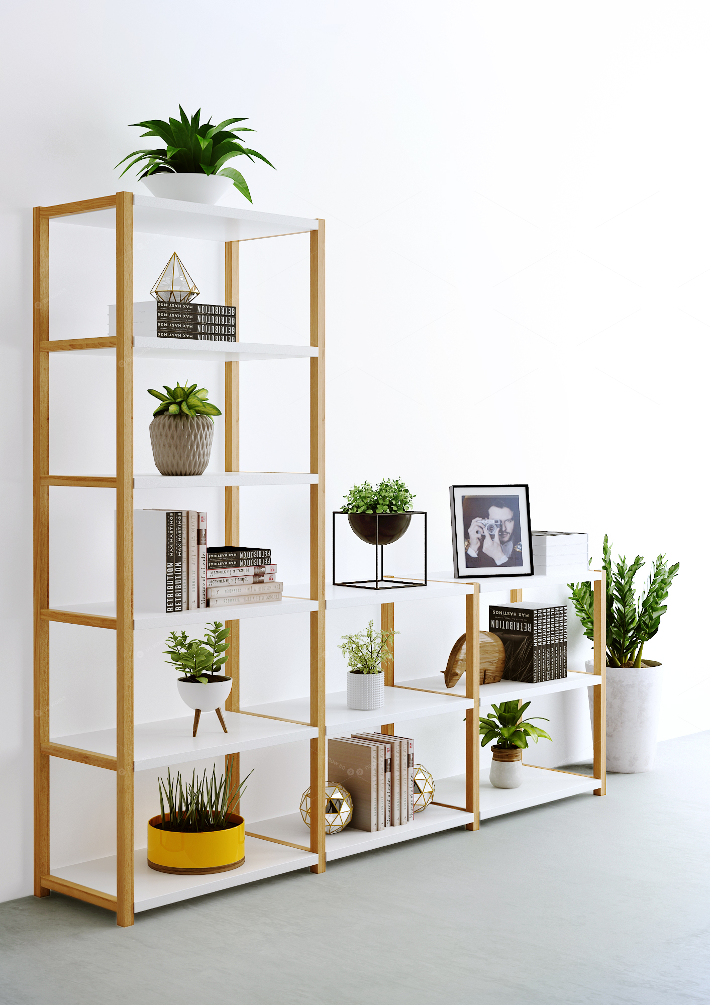 Shelves 3D Models