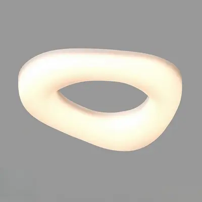 Contemporary Flush Mount Light
