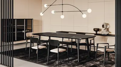 Modern Dining Room (Home)