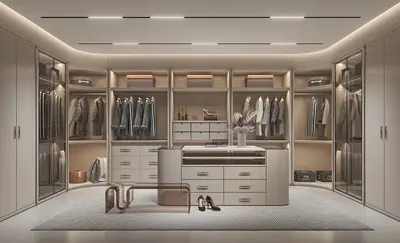 Modern Walk-in Closet
