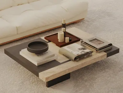Minimalist Two Tone Coffee Table 3d model