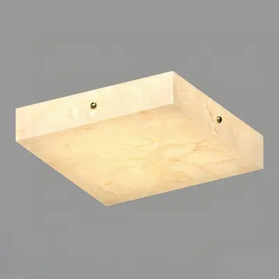 Flush Mount Light