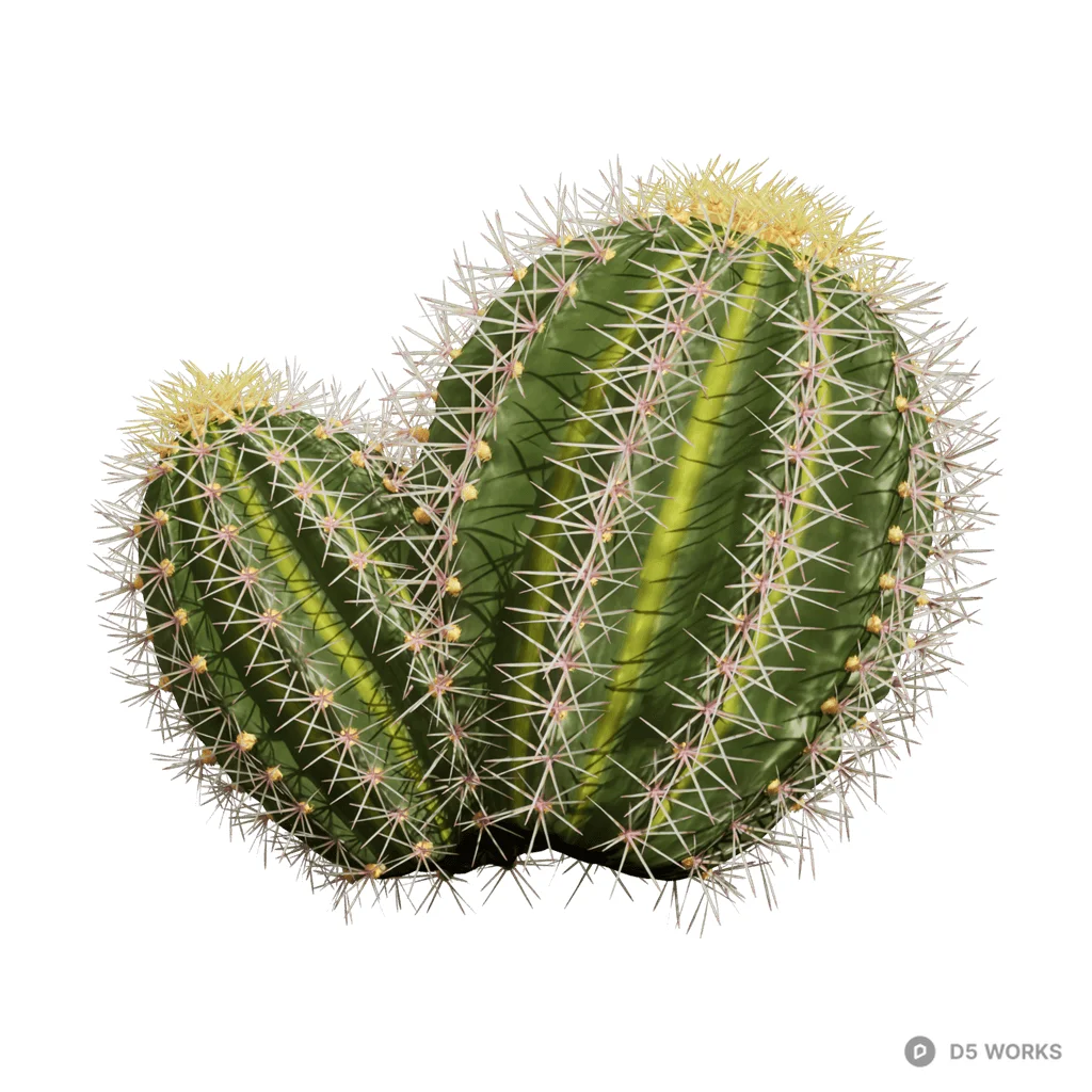 Echinocactus grusonii 02 3d model - Image 1