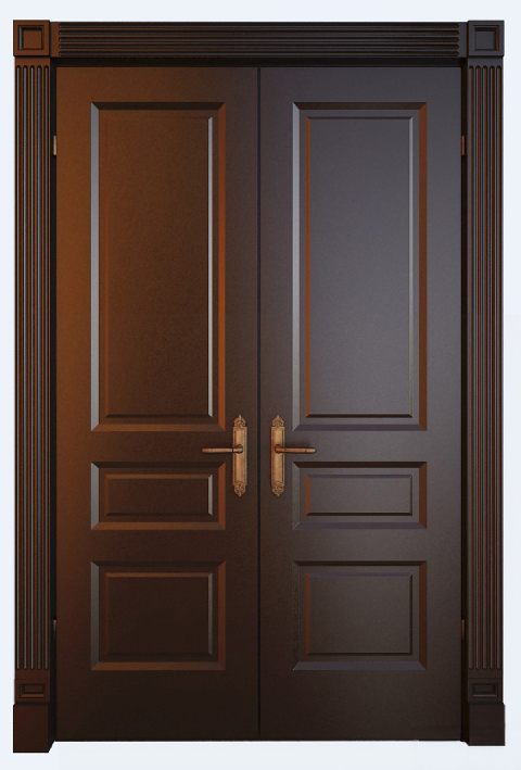 Modern Double Door