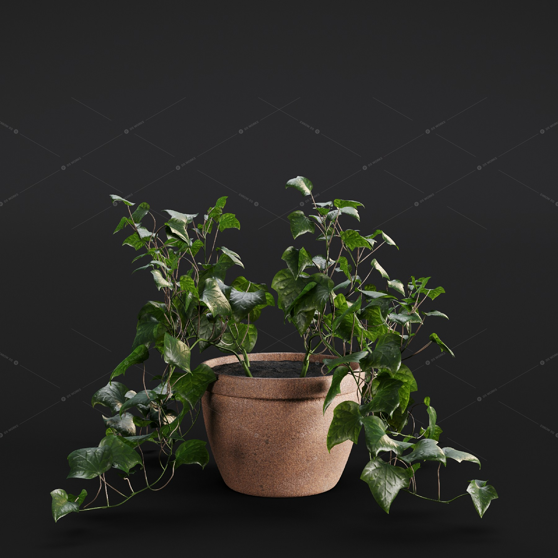 Greenery 3D Models