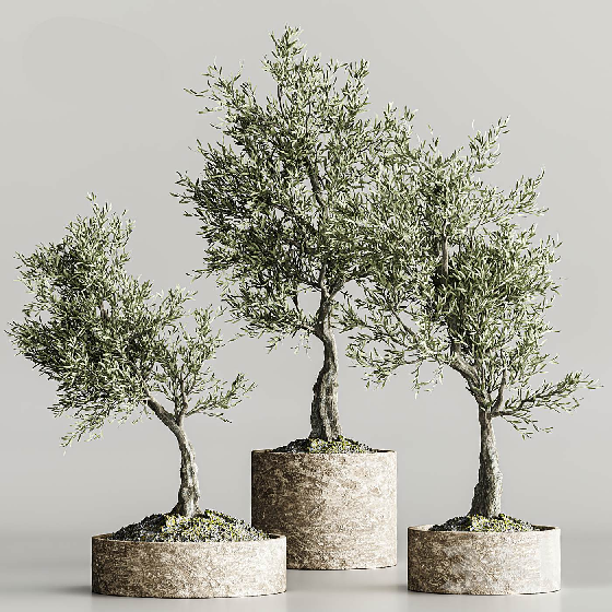 Wabi-Sabi Potted Plant