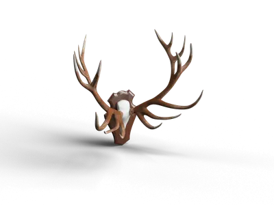 American Wall Hangings