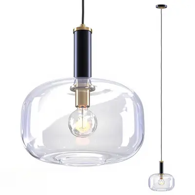 Clear Glass Pendant Lamp With Black Brass Accents 3d model