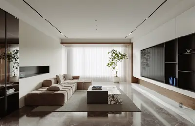 Modern Home Living Room