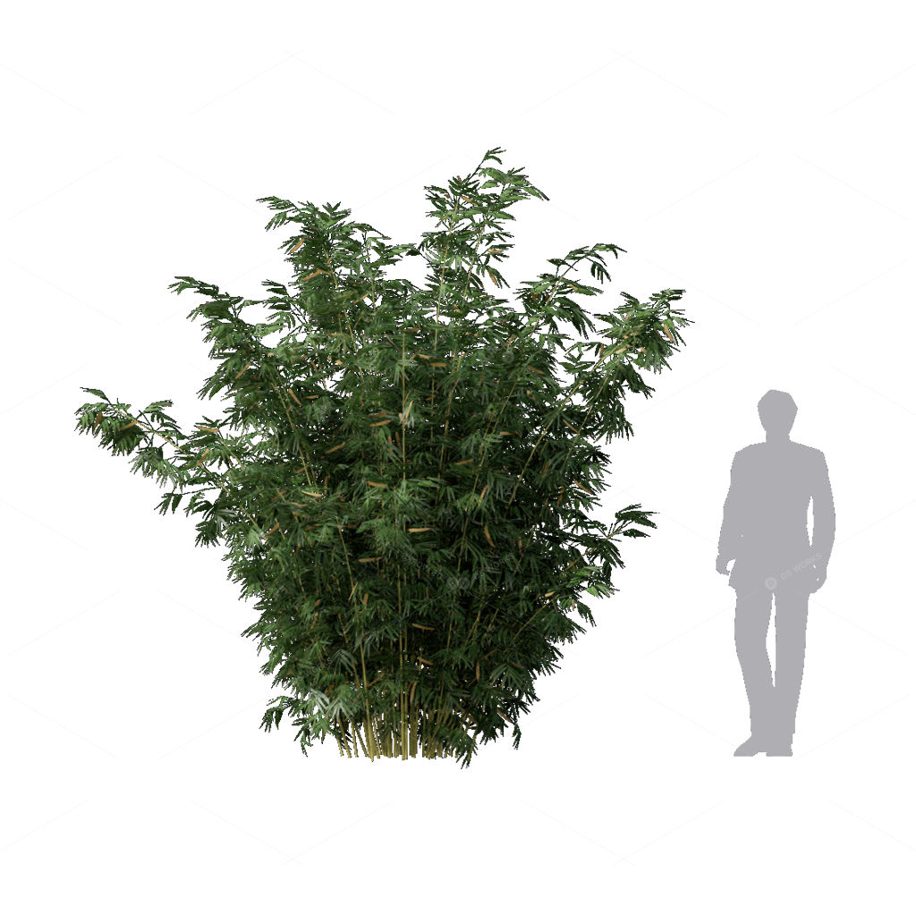 Other Botanicals 3D Models