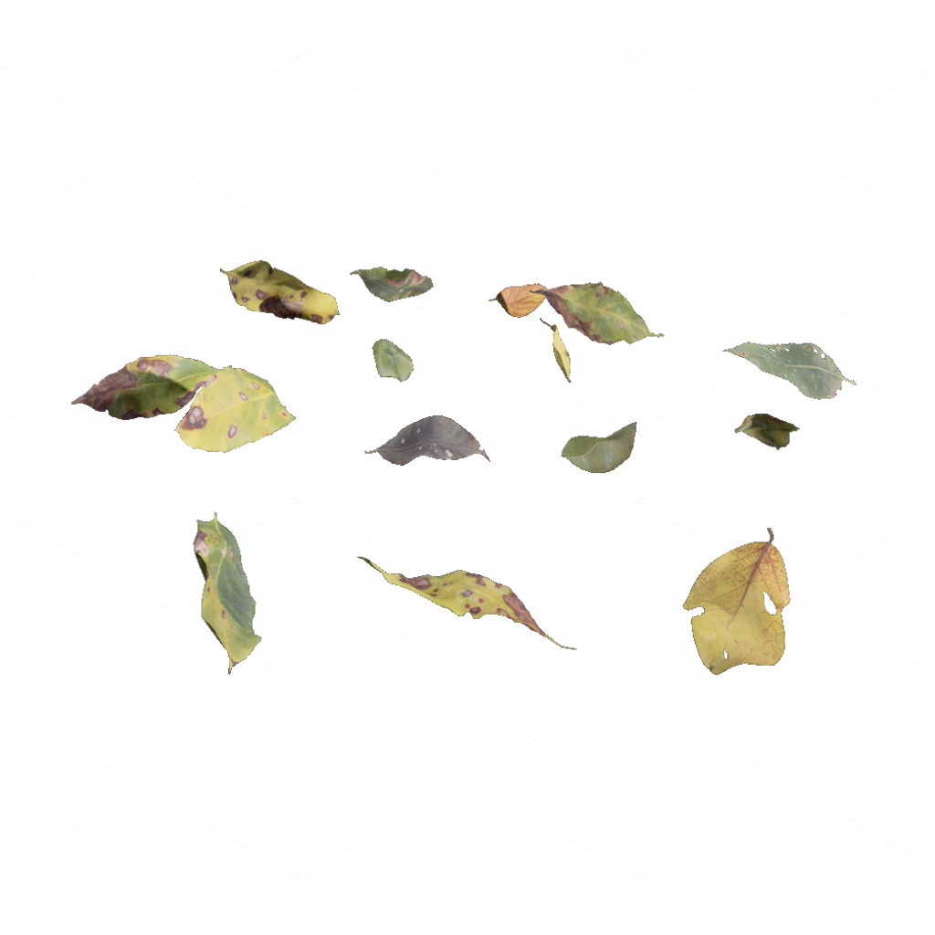 Other Botanicals 3D Models
