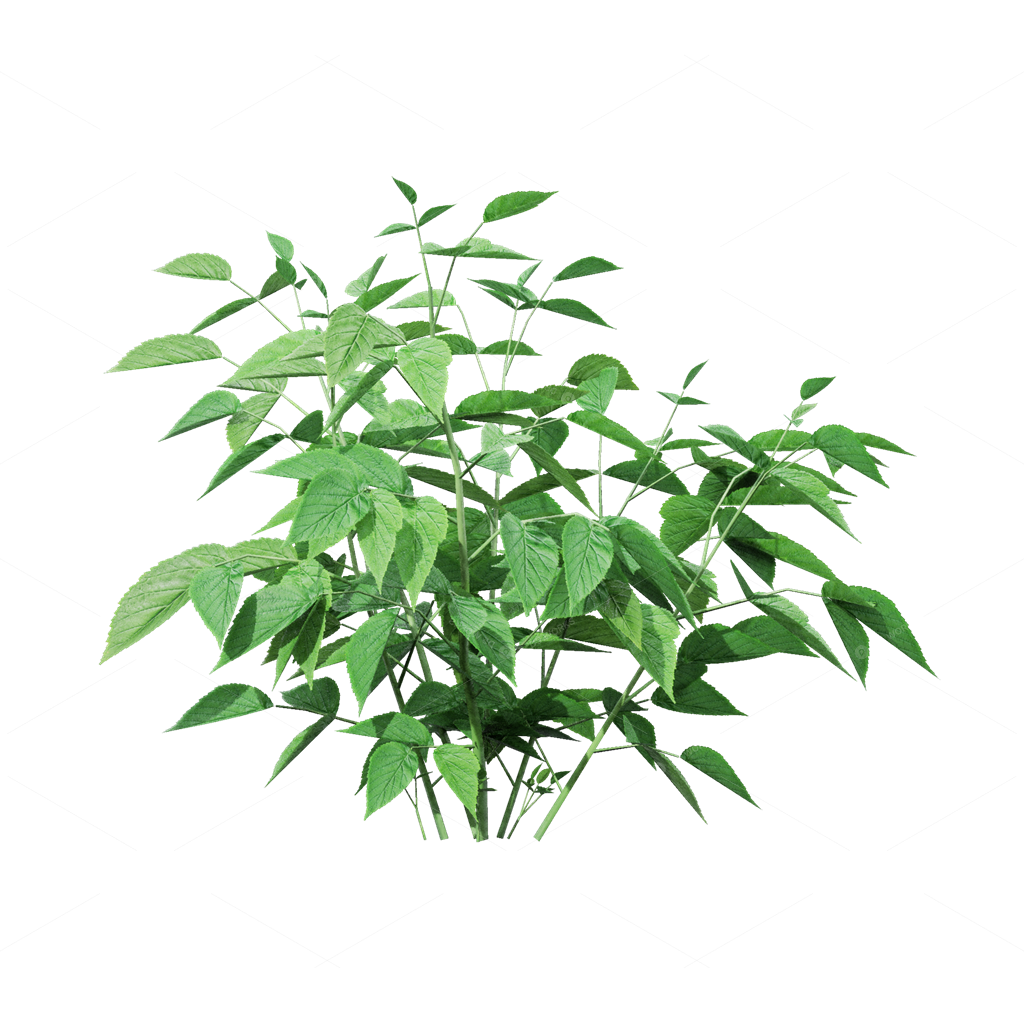 Crops 3D Models