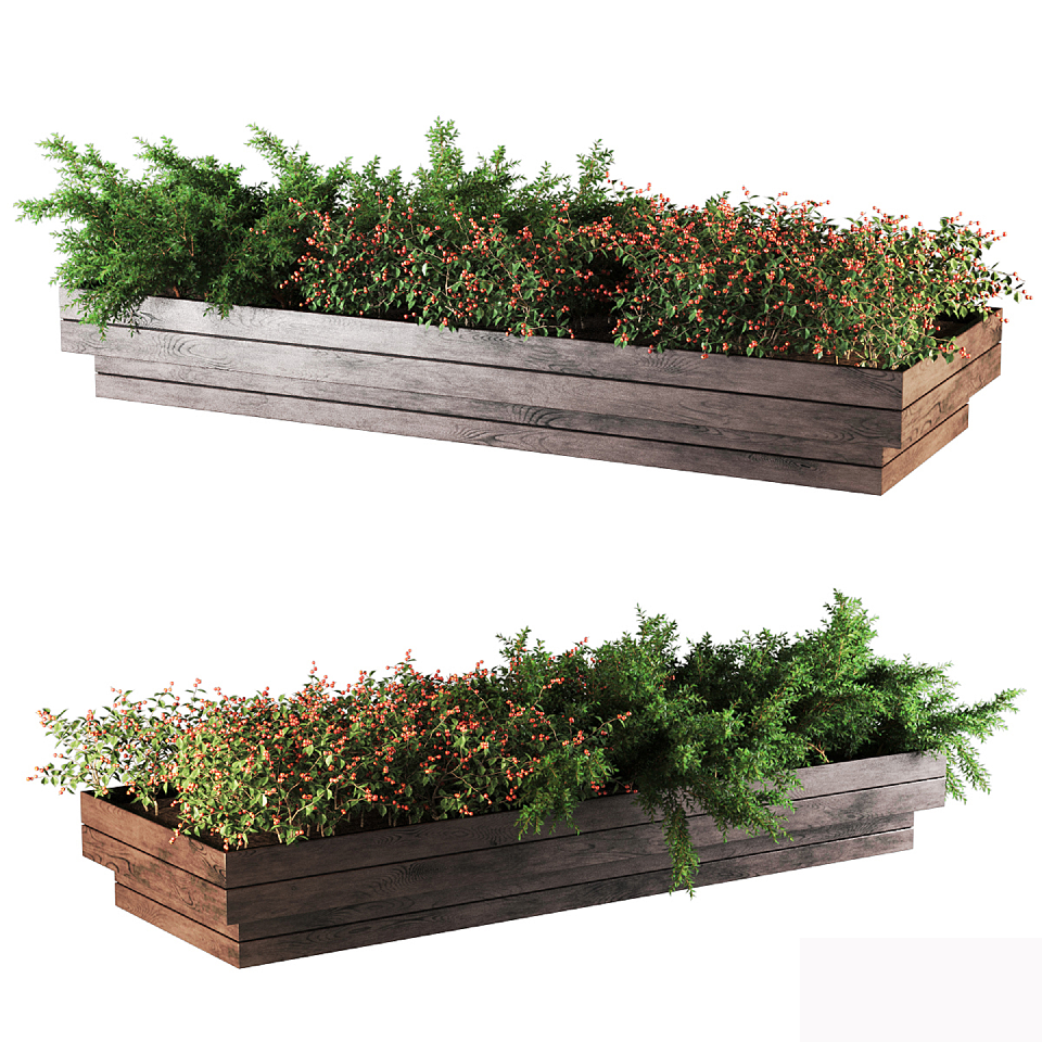 Modern Flower Box