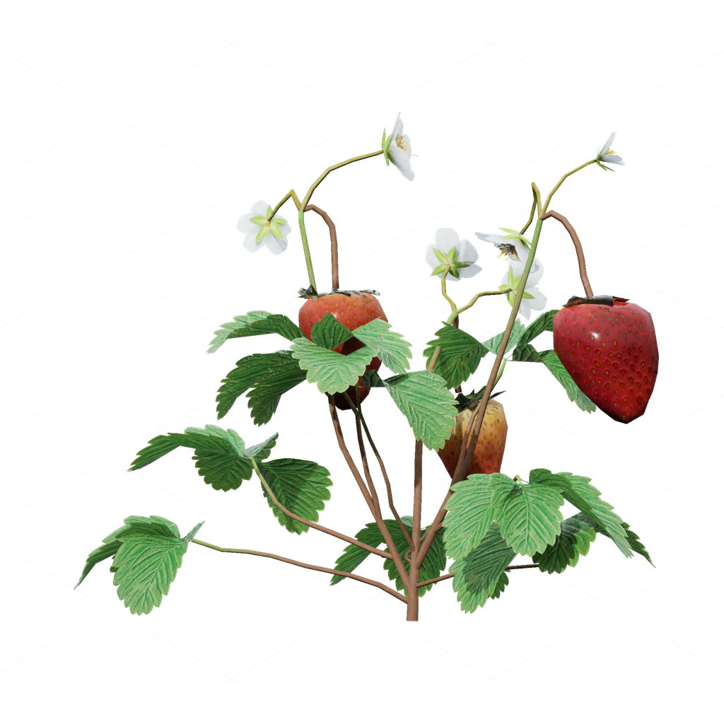 Crops 3D Models
