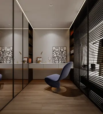 Modern Walk-in Closet