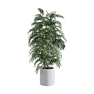 modern white ceramic green plants large potted plants
