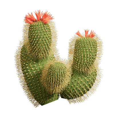 Xerophytes Cactus 03