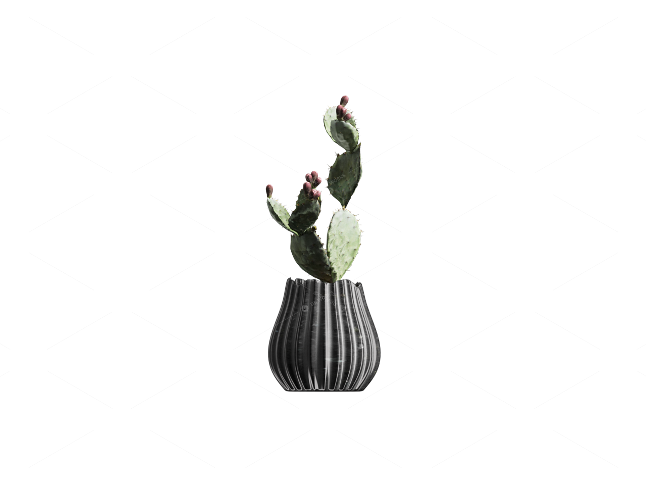 Greenery 3D Models 2