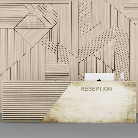 Modern Office Desk