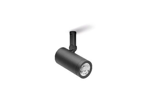 Modern Downlight & Spotlight