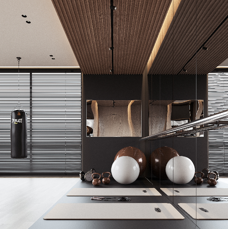 Modern Home Gym