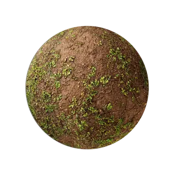 Deciduous Woodland 06