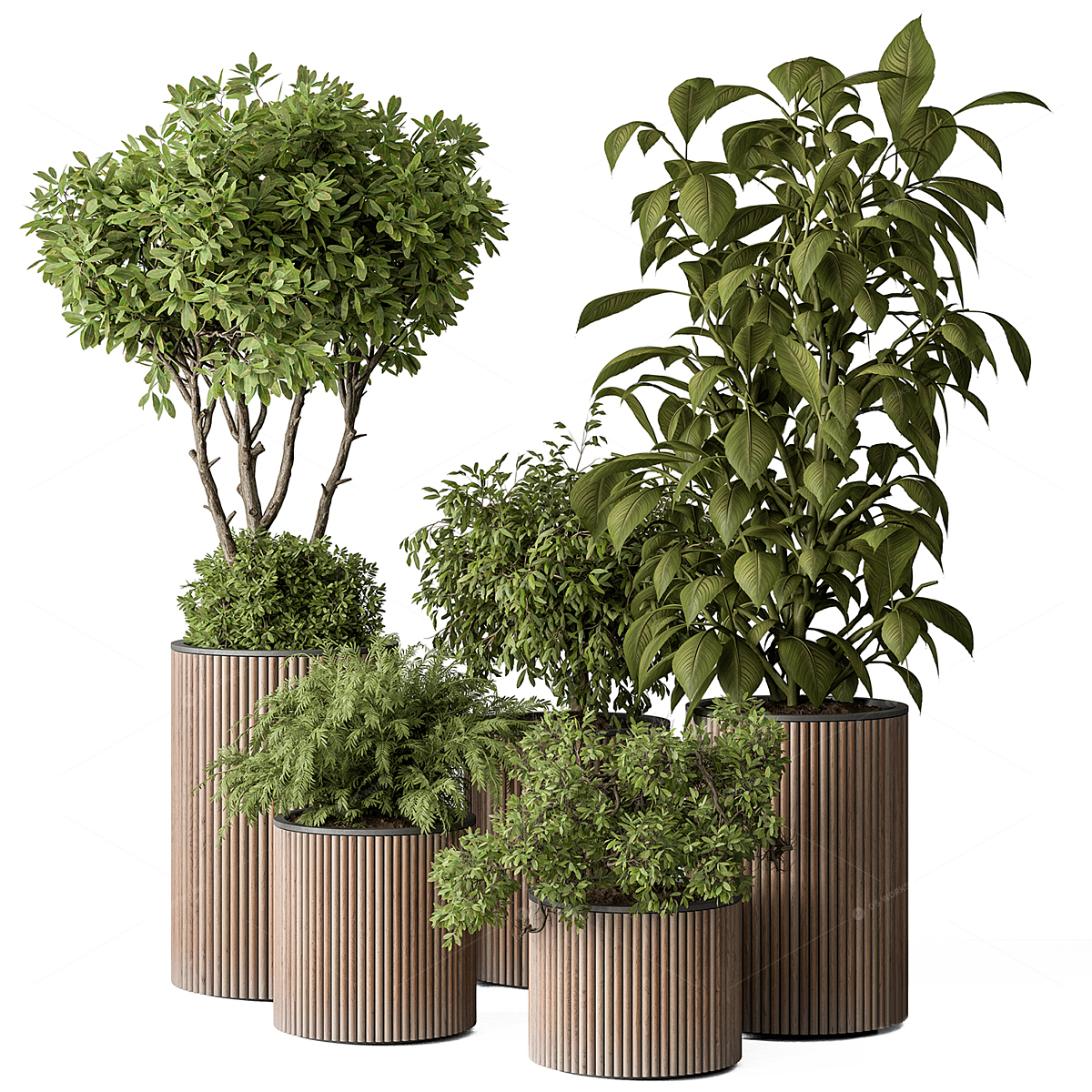 Greenery 3D Models