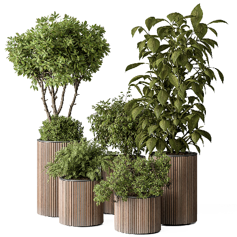 Modern Potted Plant