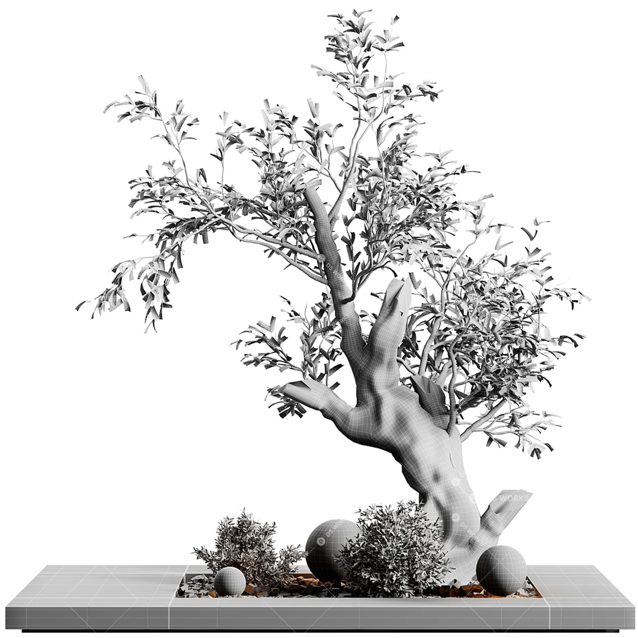 Chinese Bonsai 3d model thumbnail 2