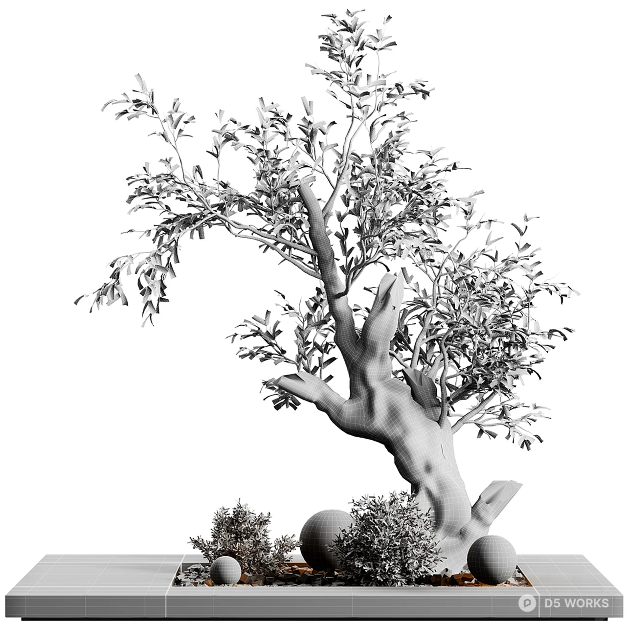 Olive Tree Bonsai On Stone Base 3d model thumbnail 2