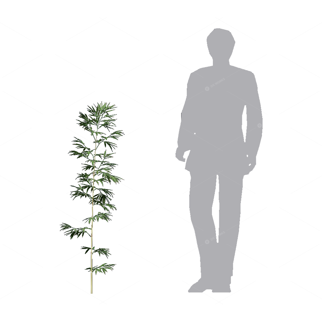 Other Botanicals 3D Models