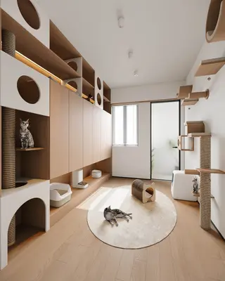 Modern Entertainment Room