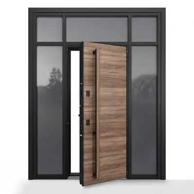 Modern Single Door