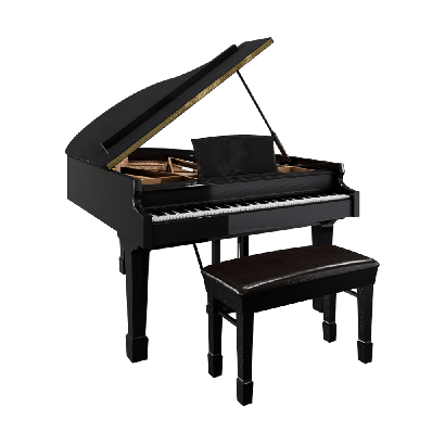 Musical Instruments Piano