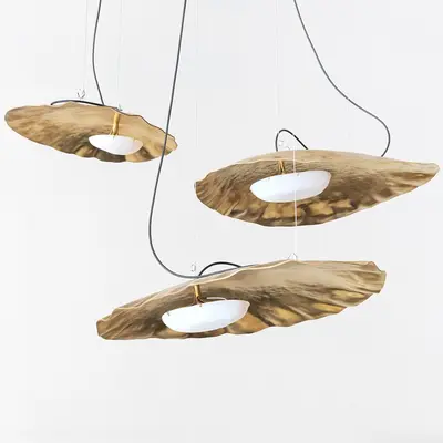 Organic Shape Brass Pendant Light 3d model