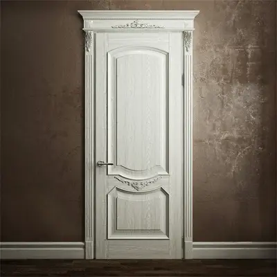 Traditional Single Door