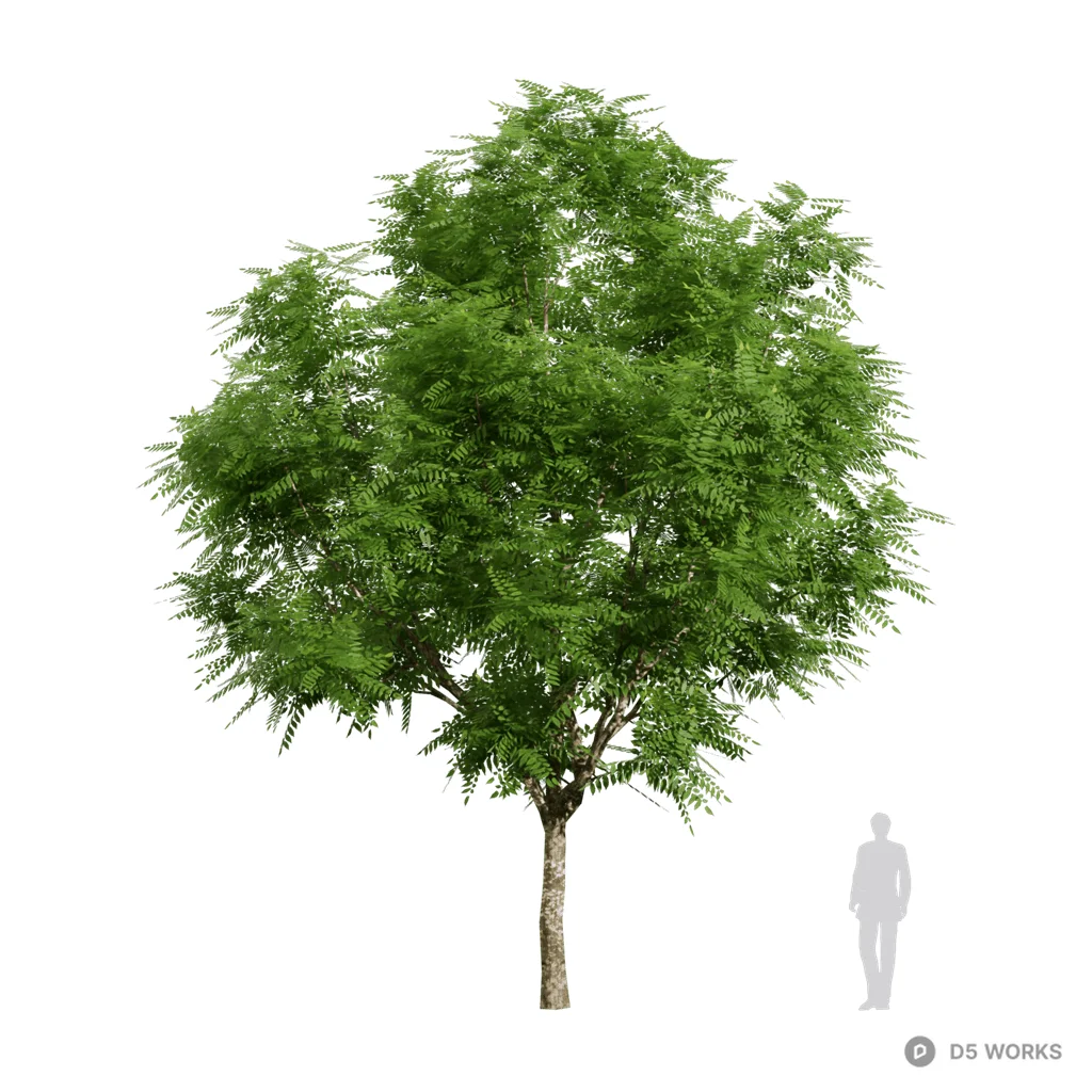 Low poly Dracontomelon duperreanum 02 3d model - Image 1