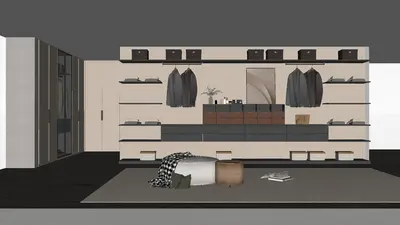 Modern Walk-in Closet