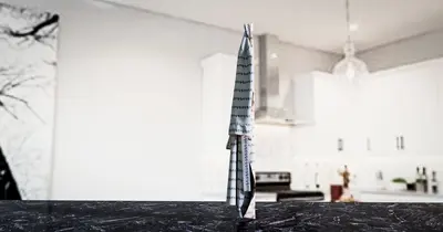 Modern Towels & Bathrobes