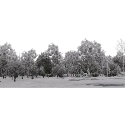 Winter Trees 02 3d model
