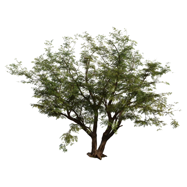 Realistic Lush Green Summer Tree 3d model
