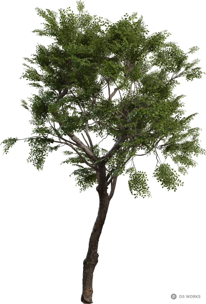 Realistic Green Foliage Deciduous Tree 3d model - Image 1