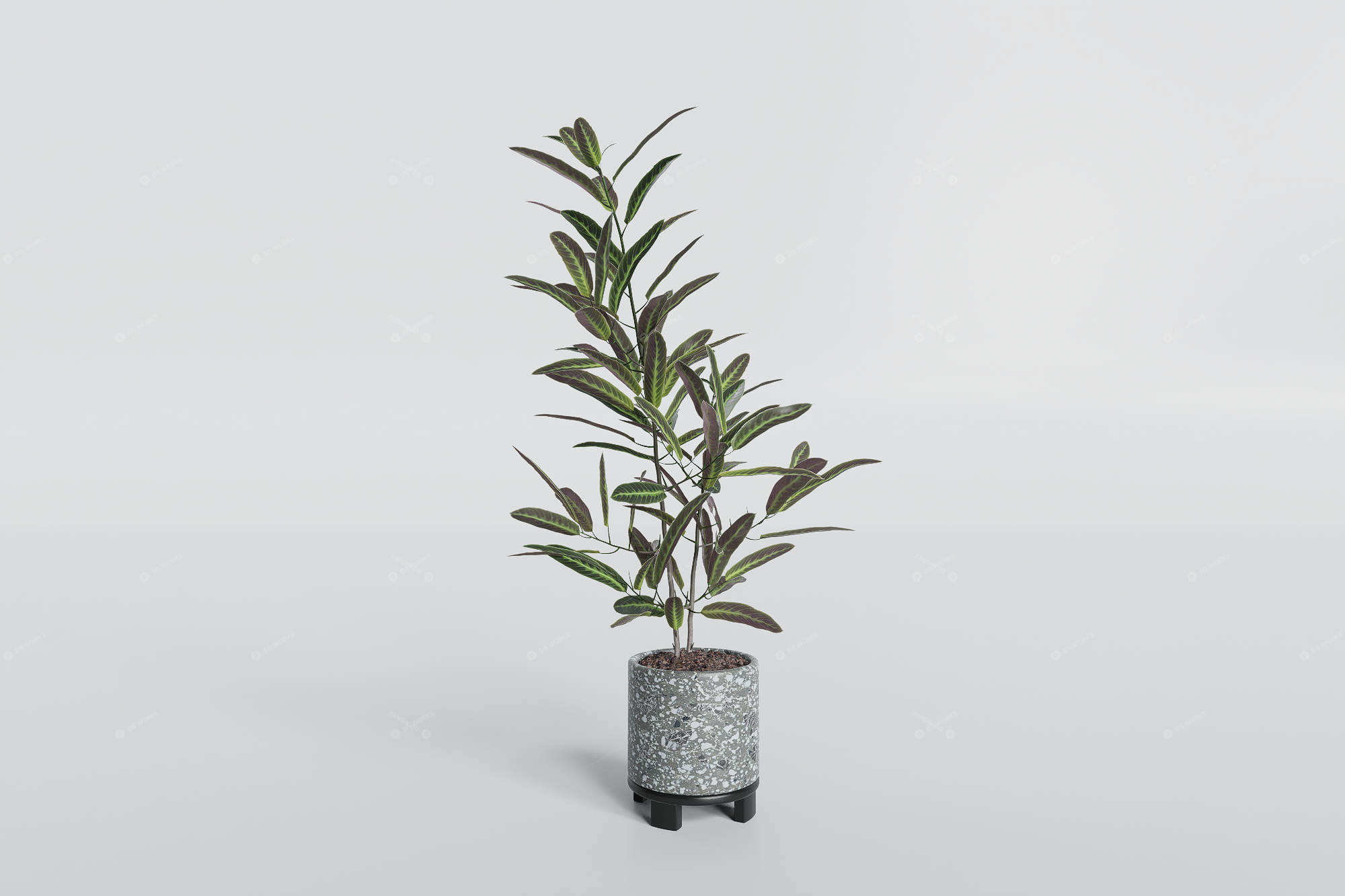 Greenery 3D Models