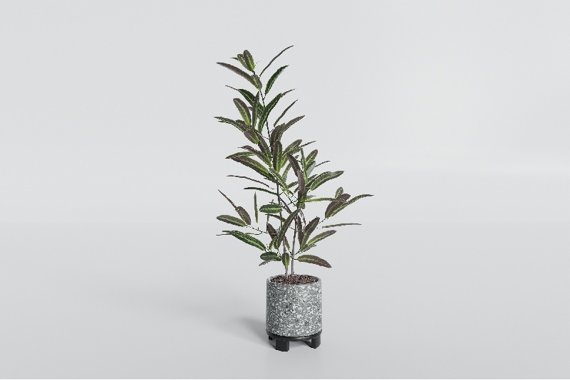 Modern Potted Plant