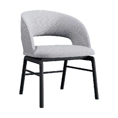 Alma Dining Chair 3d model