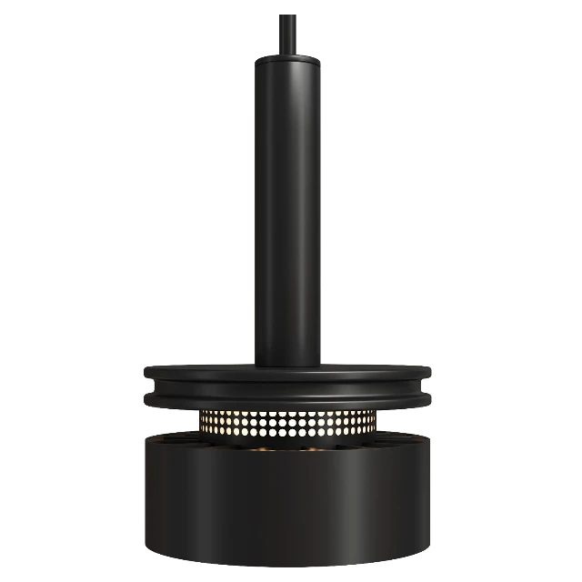 Industrial Matte Pendant Light with Mesh Detail 3d model