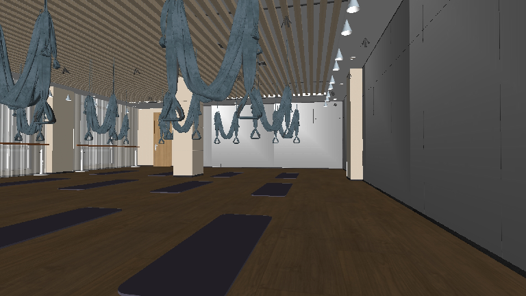 Modern Yoga Room