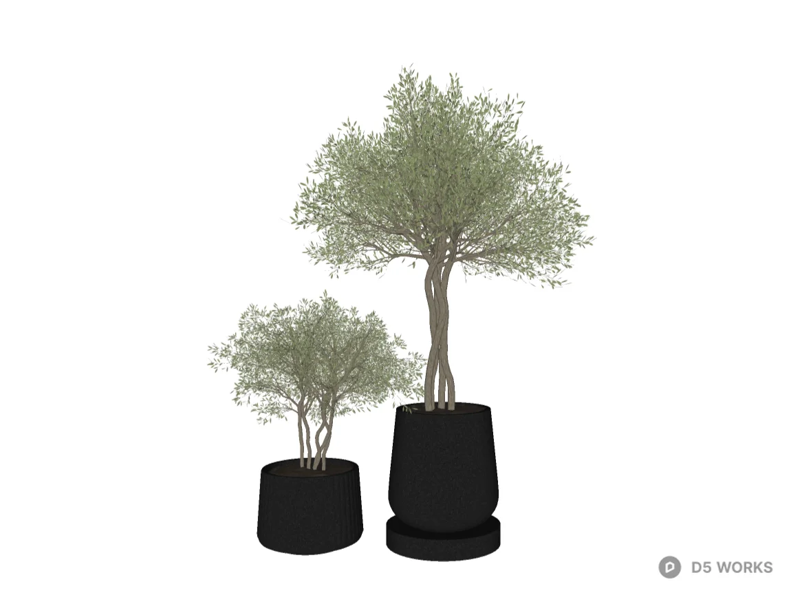 Potted Olive Topiary Trees in Black Ceramic Planters 3d model thumbnail 2