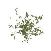 Leaves 05 3d model